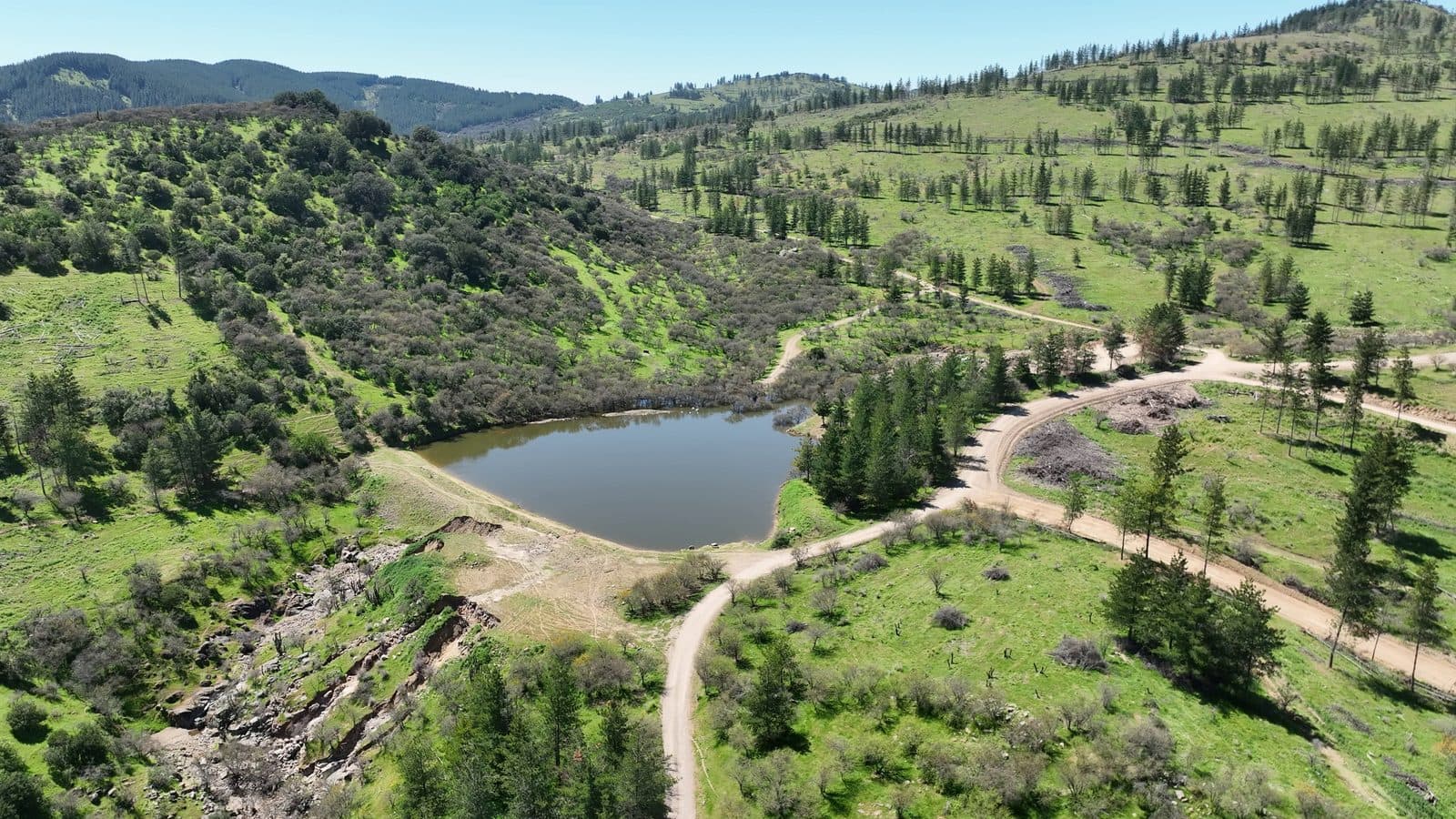 Tranque natural rodeado de cerros y pinos en Altos de Talca