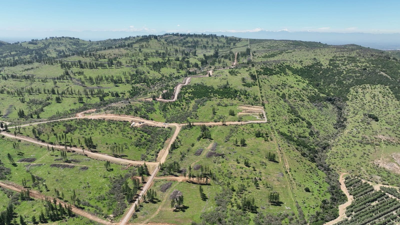 Cerros verdes de Altos de Talca con la cordillera al fondo