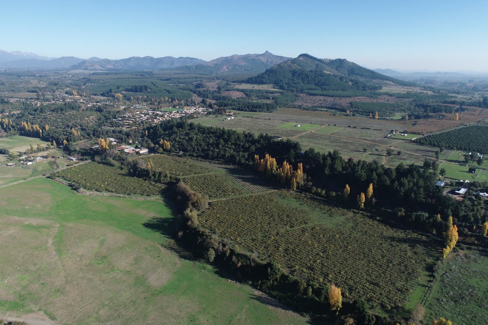 Vista aérea de Bolsico con montañas al fondo