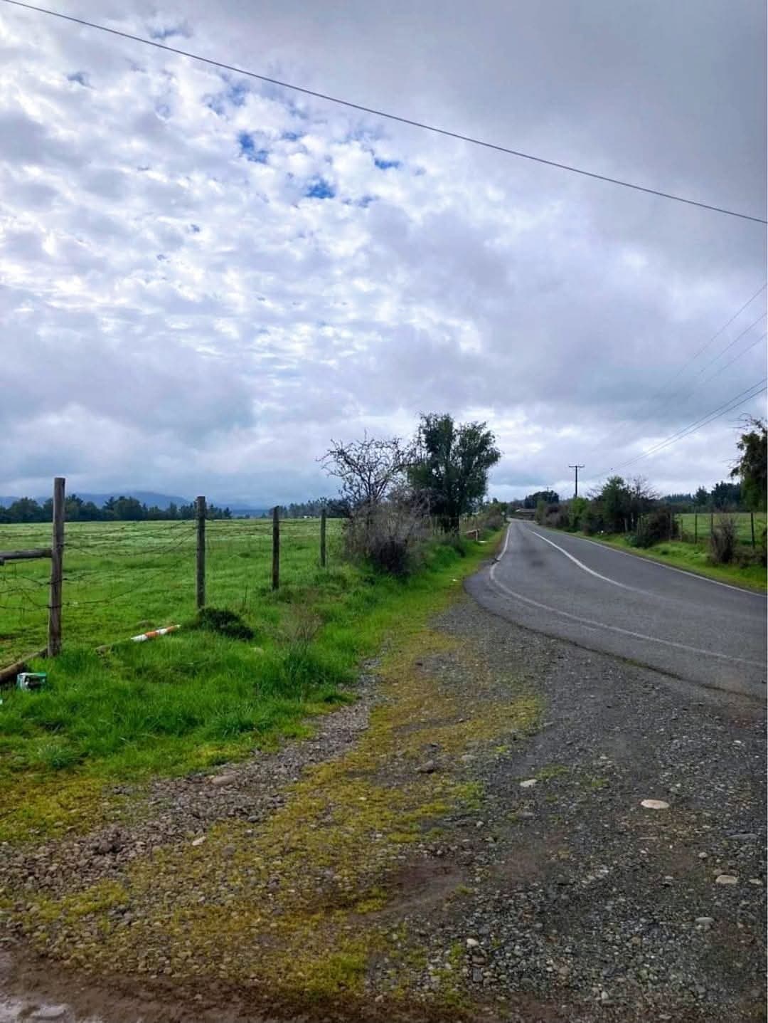 Camino asfaltado bordeando las praderas del proyecto